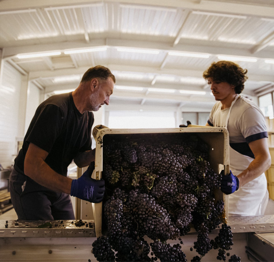 ヴィジュアル・エディトリアル・ハウス・ランソン