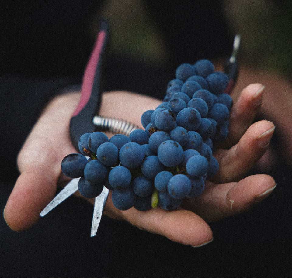 Redaktionelles Bild Haus Lanson