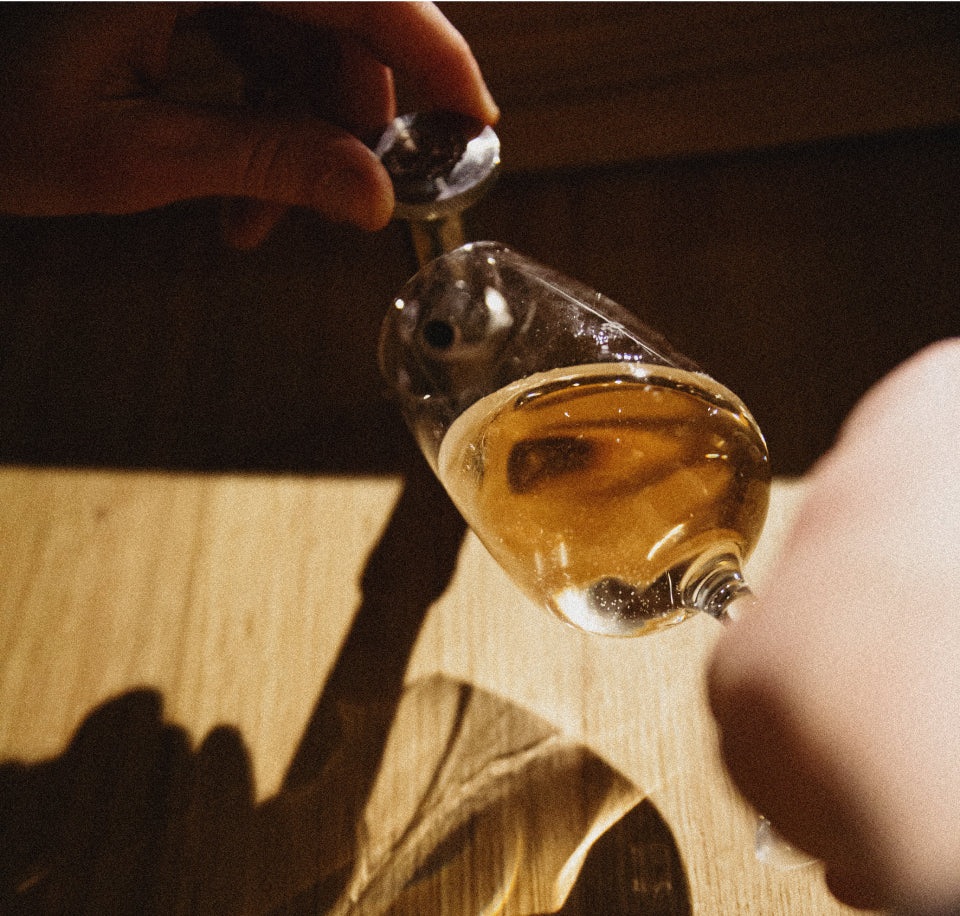 ヴィジュアル・エディトリアル・ハウス・ランソン