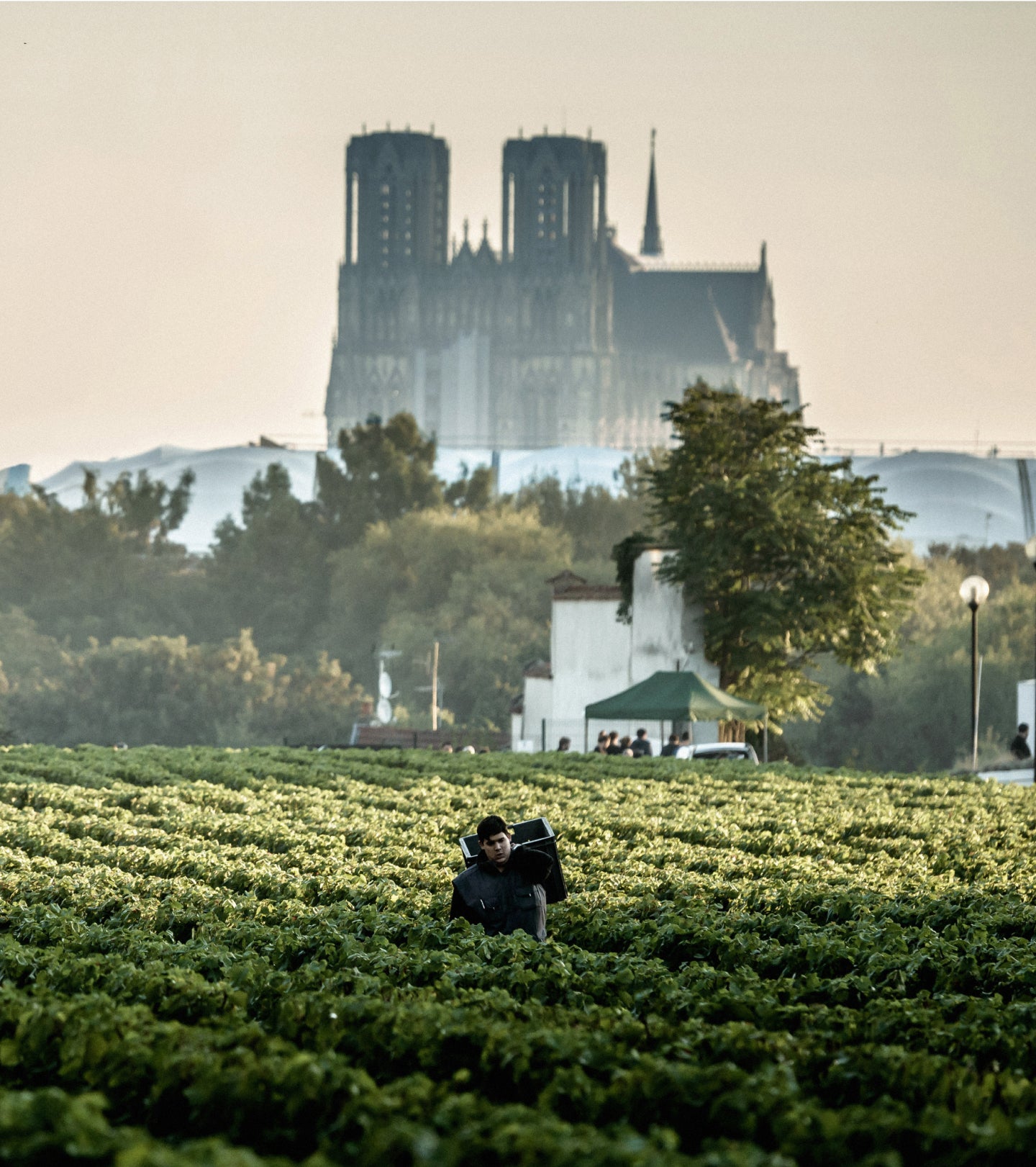 Visual editorial house Lanson