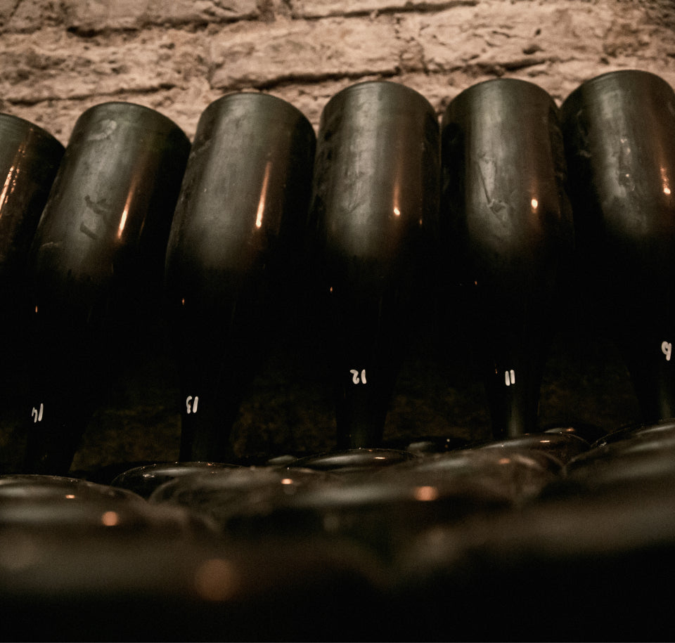 ヴィジュアル・エディトリアル・ハウス・ランソン