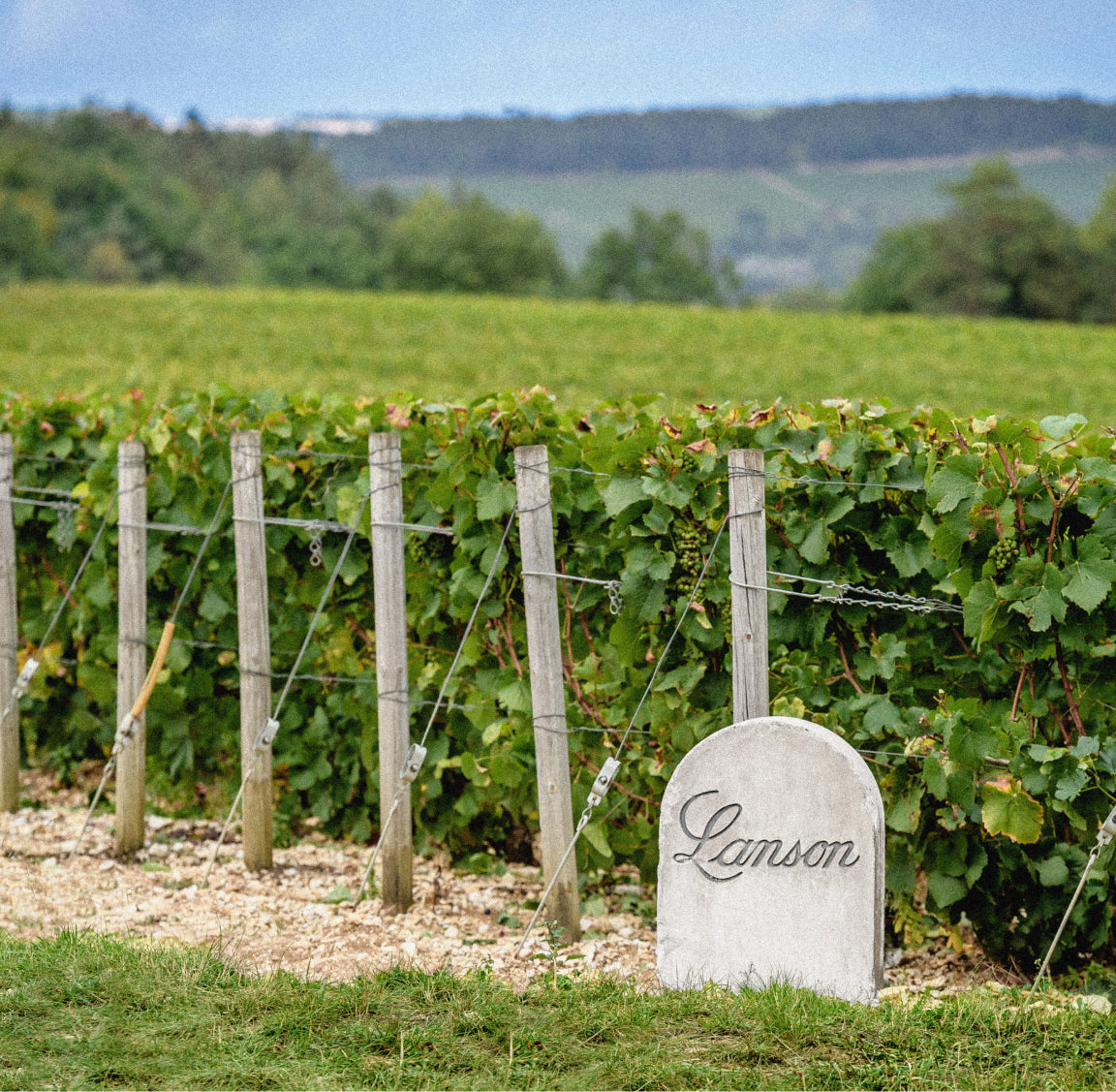 Editorial visual Lanson