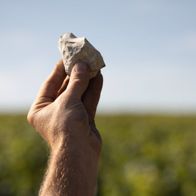 Bouteille de champagne Lanson