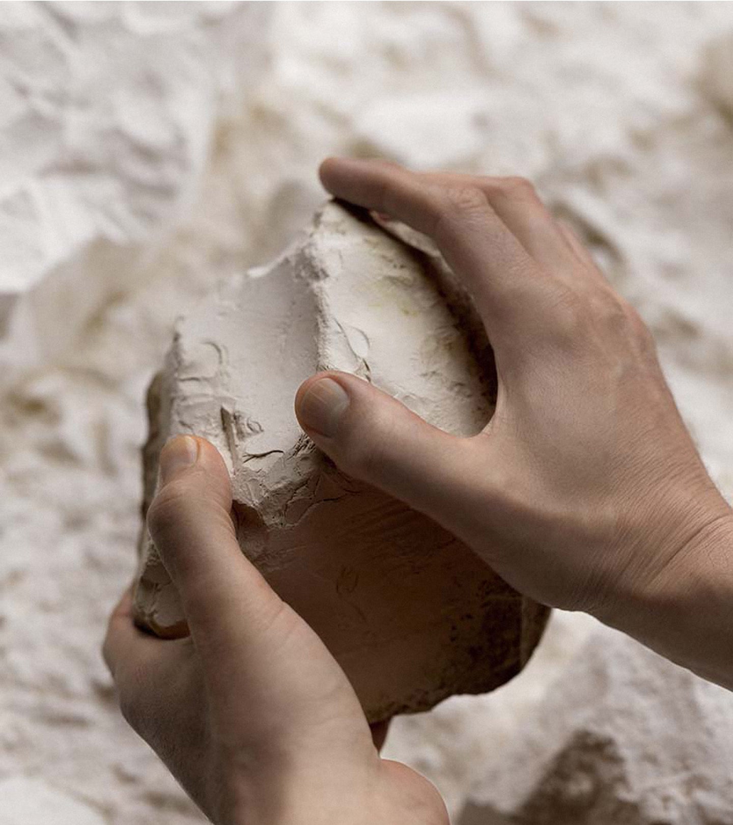 ヴィジュアル・エディトリアル・ハウス・ランソン