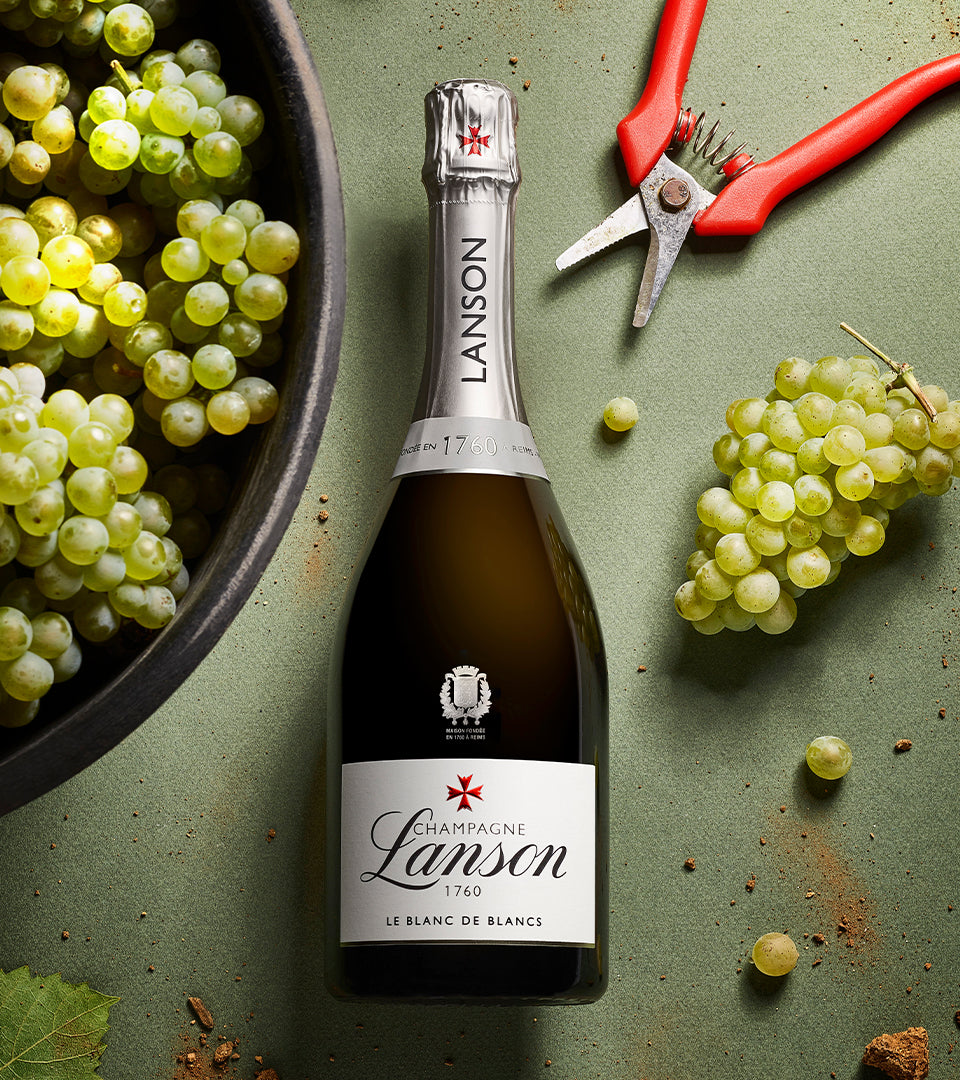 Immagine del prodotto Le Blanc de Blancs