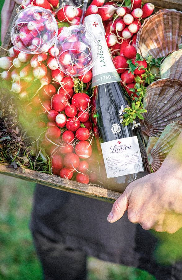 Lanson champagne bottle