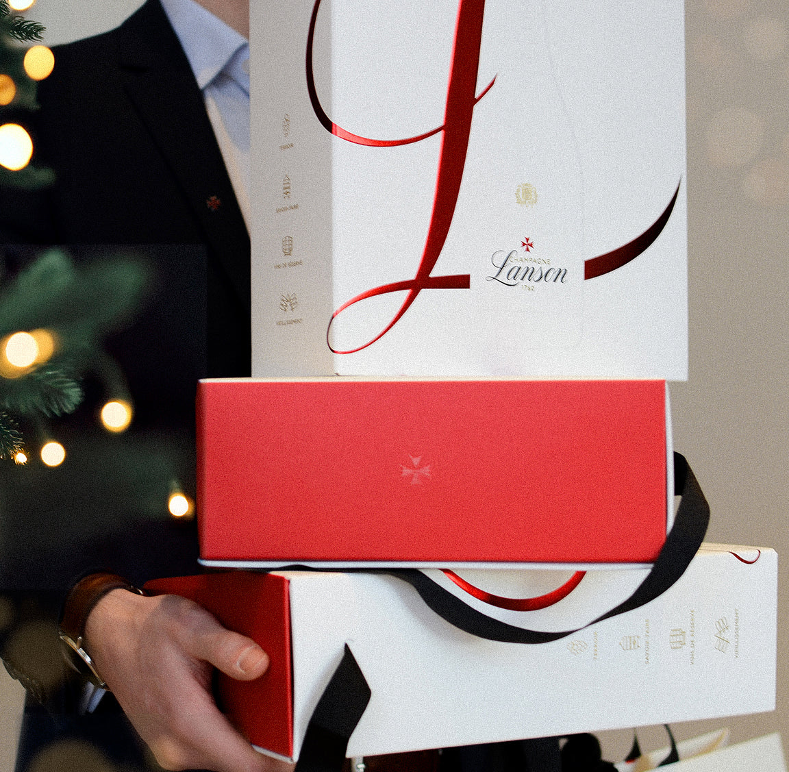 Maison editrice visiva Lanson